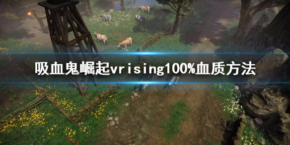 吸血鬼崛起100%血質(zhì)方法