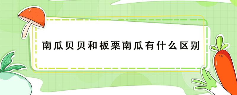 南瓜贝贝和板栗南瓜有什么区别 南瓜贝贝和板栗南瓜有什么区别图片