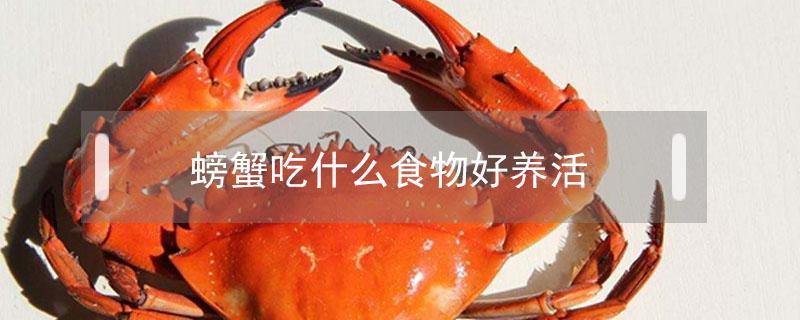 螃蟹吃什么食物好養(yǎng)活