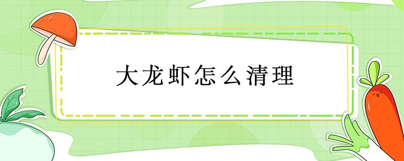 大龙虾怎么清理 大龙虾怎么清理步骤