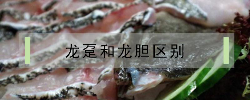 龍躉和石斑魚區(qū)別