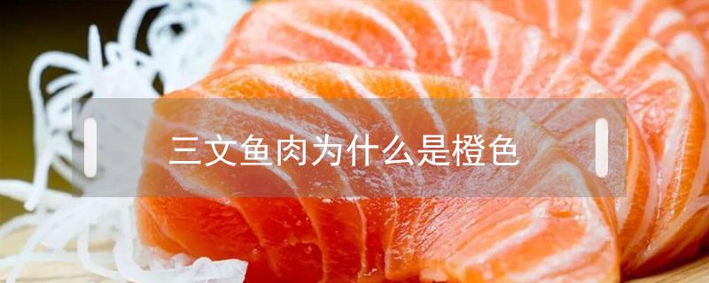 三文魚(yú)肉為什么是橙色