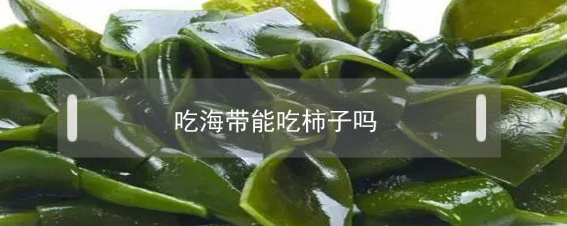 吃海带能吃柿子吗（吃海带可以吃柿子吗?）