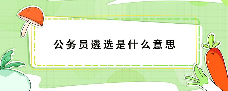 公务员遴选是什么意思（公务员考试遴选是什么意思）