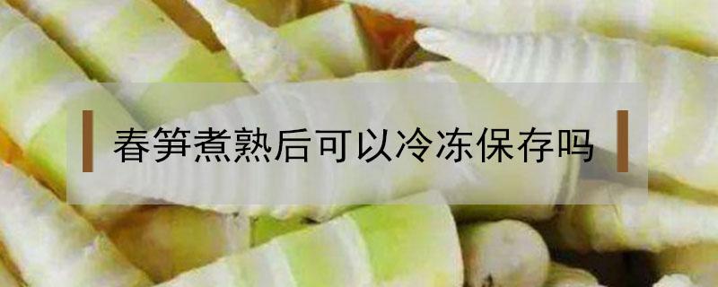 春笋煮熟后可以冷冻保存吗（春笋冷冻保存要煮熟吗）