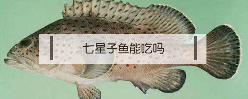 七星子鱼能吃吗 七星子鱼头能吃吗