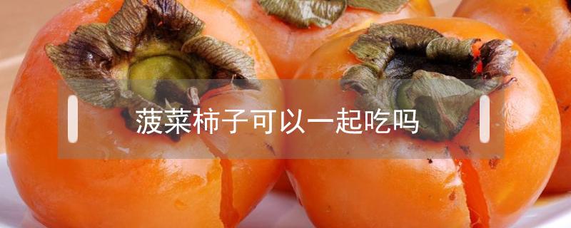 菠菜柿子可以一起吃吗 菠菜柿子能一起吃吗