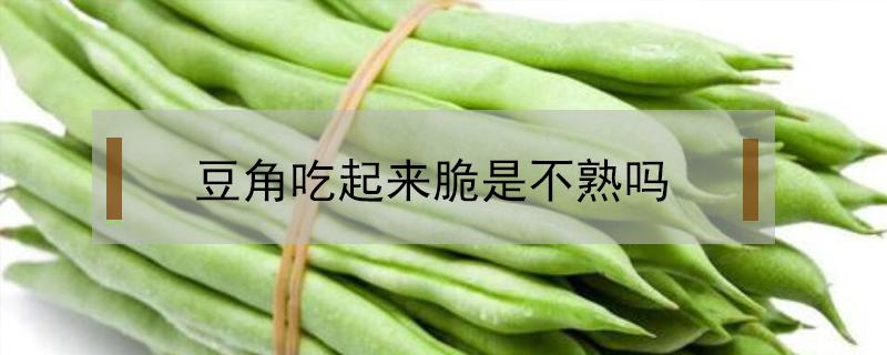 豆角吃起來脆是不熟嗎（豆角吃著脆是不是沒熟）