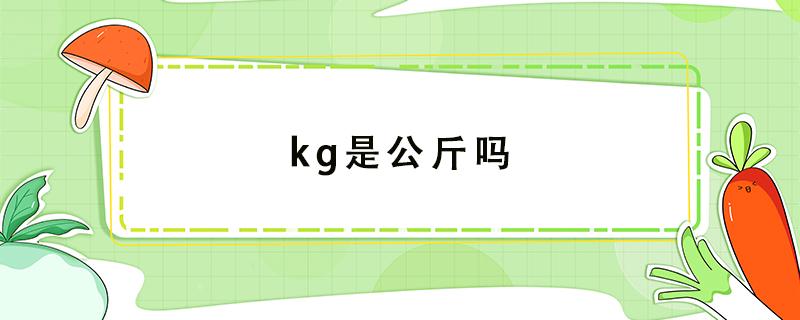 kg是公斤嗎