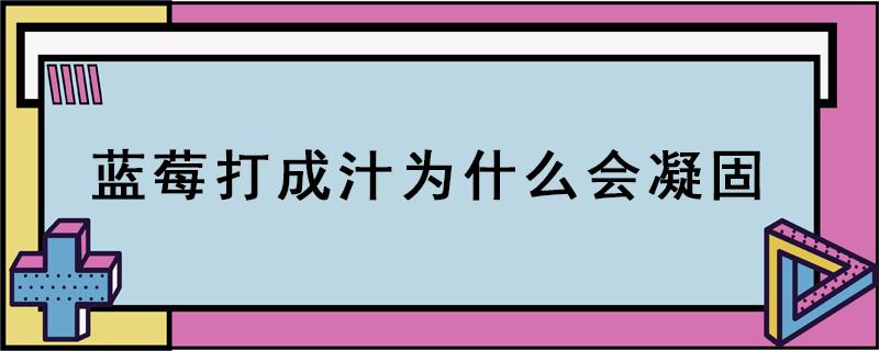 蓝莓打成汁为什么会凝固