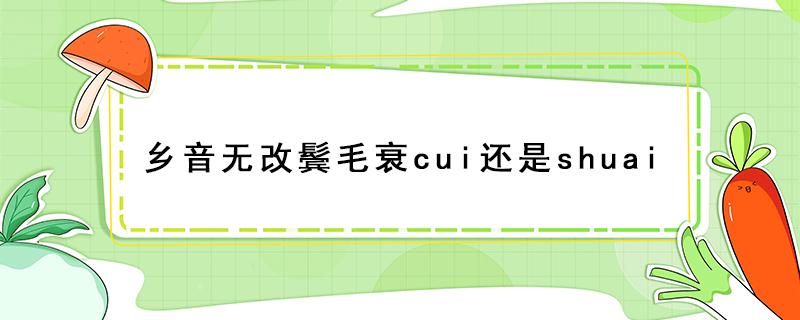 乡音无改鬓毛衰cui还是shuai 乡音无改鬓毛衰cui还是shuai教育部