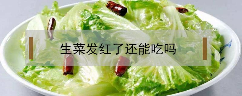 生菜發(fā)紅了還能吃嗎