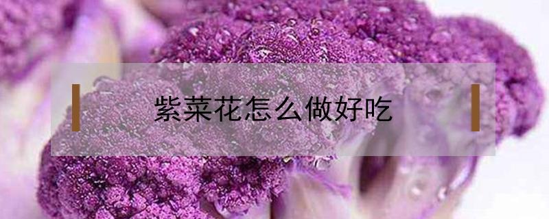 紫菜花怎么做好吃（紫花菜怎样做好吃）