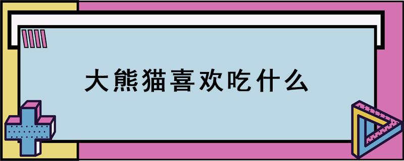 大熊貓喜歡吃什么 大熊貓喜歡吃什么東西