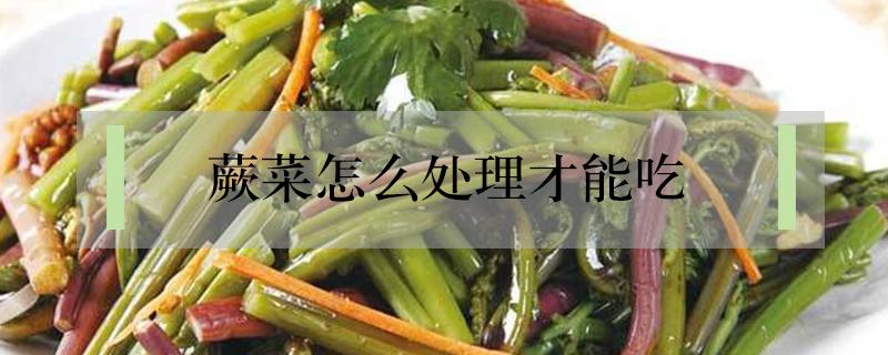 蕨菜怎么處理才能吃 野生干蕨菜怎么處理才能吃