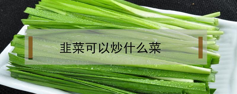 韭菜可以炒什么菜（韭菜可以炒什么菜好吃）