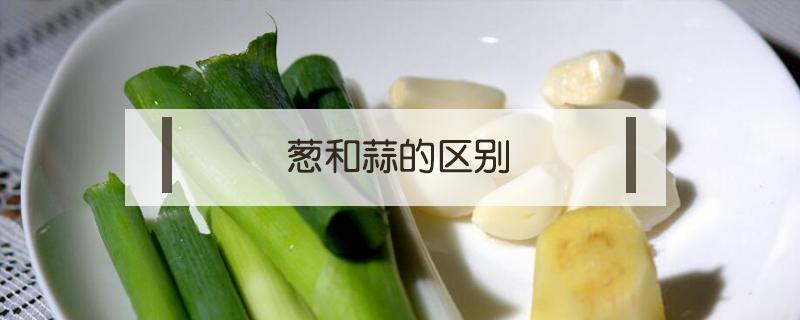 葱和蒜的区别（葱和蒜的区别是什么）