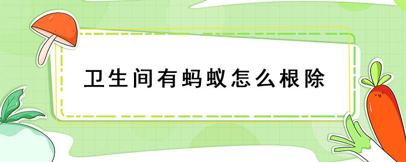 卫生间有蚂蚁怎么根除 家里卫生间蚂蚁如何彻底清除