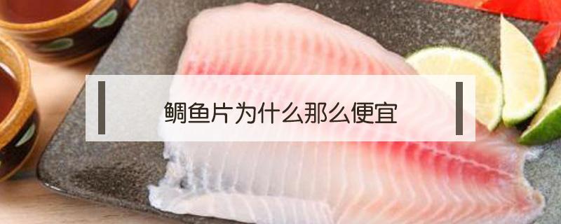 鯛魚(yú)片為什么那么便宜