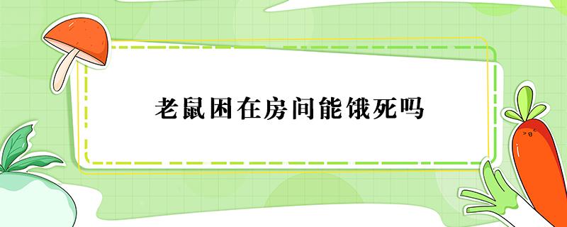 老鼠困在房间能饿死吗（房间老鼠几天能饿死）