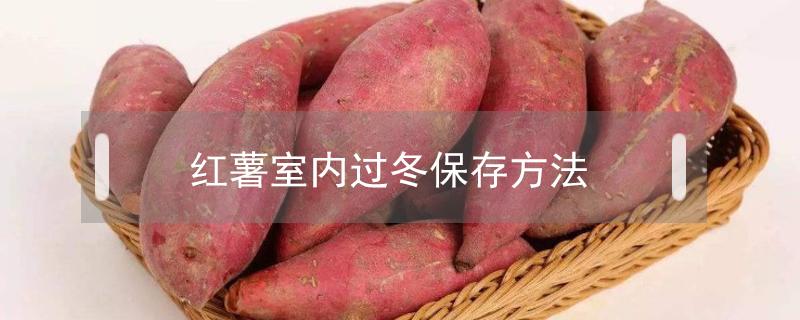 紅薯室內(nèi)過冬保存方法 紅薯保存法過冬怎樣保存法