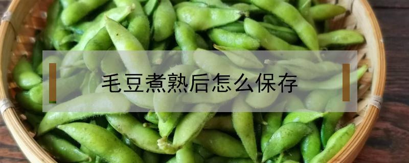 毛豆煮熟后怎么保存（煮好的毛豆怎么储存保持新鲜）