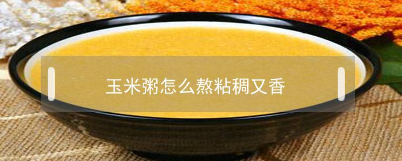 玉米粥怎么熬粘稠又香 玉米粥怎么熬粘稠又香竅門(mén)