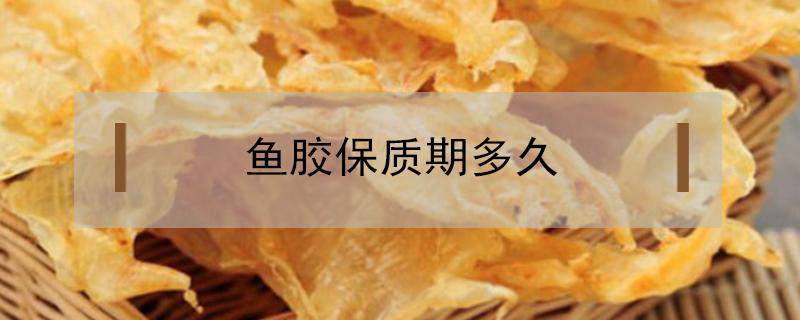 魚膠保質(zhì)期多久