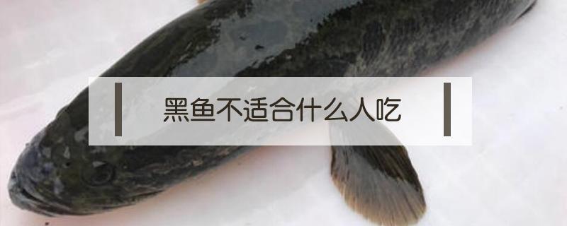 黑魚(yú)不適合什么人吃 黑魚(yú)不適合什么人吃 這一類(lèi)人要遠(yuǎn)離它羅非魚(yú)