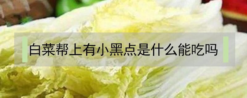 白菜帮上有小黑点是什么能吃吗 大白菜帮上有黑点能吃吗?