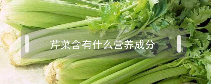 芹菜含有什么營養(yǎng)成分（芹菜含有什么營養(yǎng)成分最多）