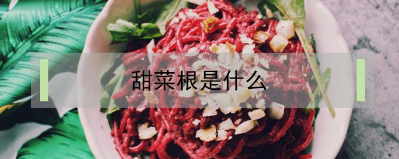 甜菜根是什么 甜菜根是什么味道