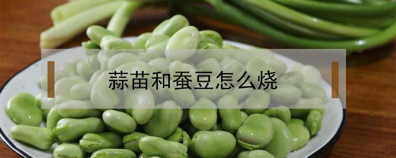 蒜苗和蠶豆怎么燒