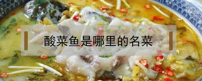 酸菜魚(yú)是哪里的名菜（酸菜魚(yú)的菜叫什么名字）