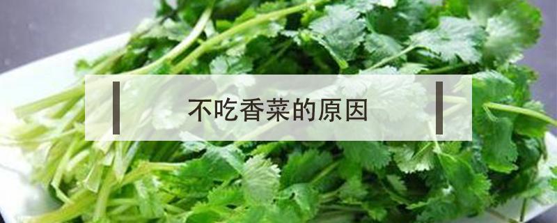 不吃香菜的原因（有人不吃香菜的原因）