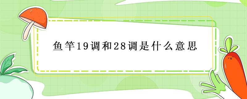 鱼竿19调和28调是什么意思 鱼竿19调和28调是什么意思哪个好竿