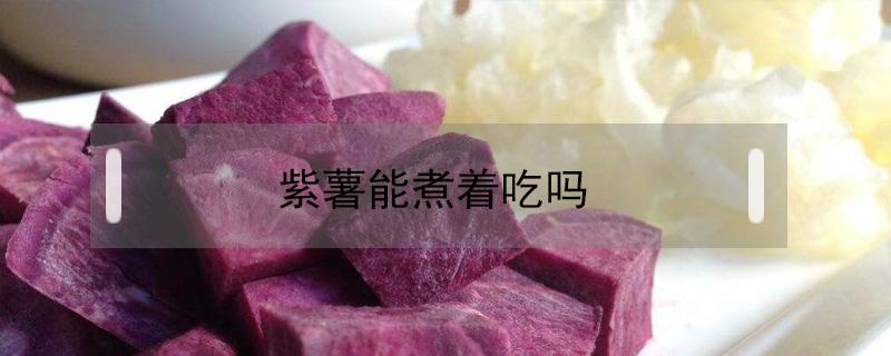 紫薯能煮著吃嗎 紫薯能煮著吃嗎?