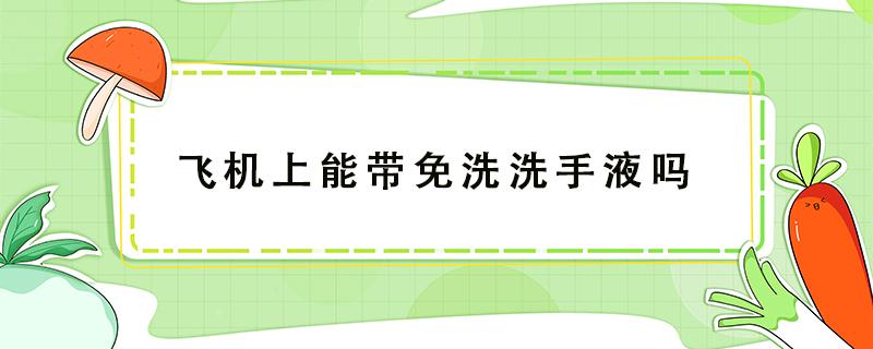 飞机上能带免洗洗手液吗（飞机上不能带免洗洗手液吗）