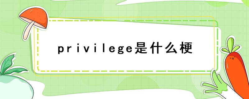 privilege是什么梗（說到privilege是什么梗）