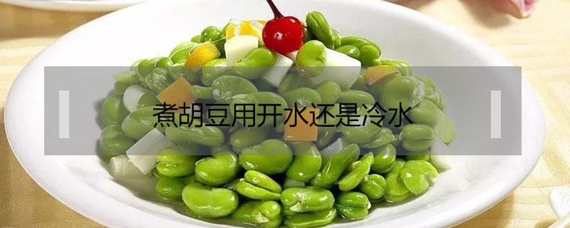 煮胡豆用开水还是冷水（煮胡豆用开水煮吗）