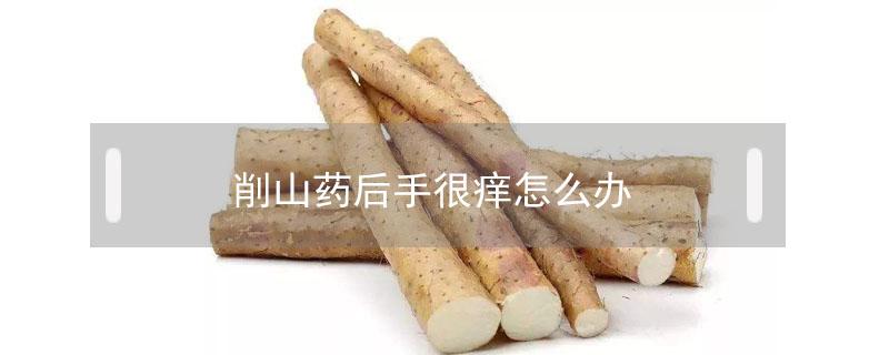 削山药后手很痒怎么办（削山药以后手特别痒怎么办）