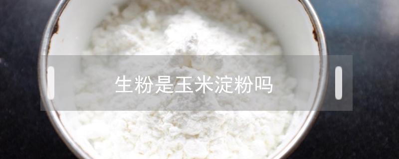 生粉是玉米淀粉吗 生粉是玉米淀粉吗?