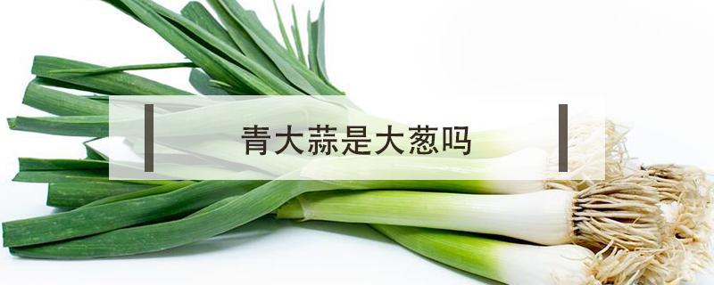 青大蒜是大葱吗（大蒜就是大葱吗）