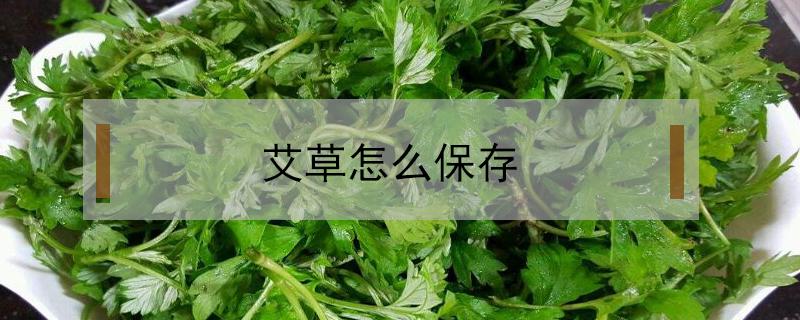 艾草怎么保存（艾草怎么保存才是綠色的不會(huì)變色）