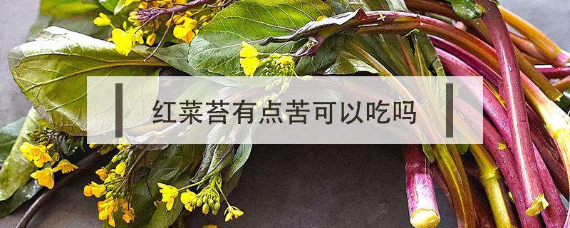 红菜苔有点苦可以吃吗（红菜苔有点苦怎么回事）