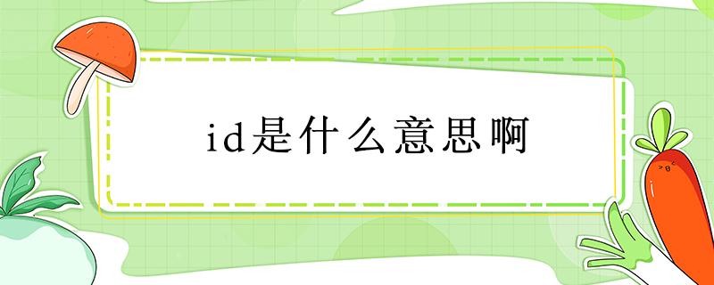 id是什么意思啊 id是什么意思啊护理