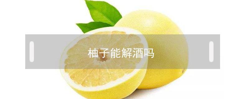 柚子能解酒嗎