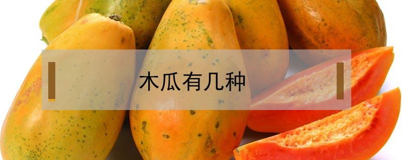 木瓜有幾種（木瓜有幾種品種圖片）