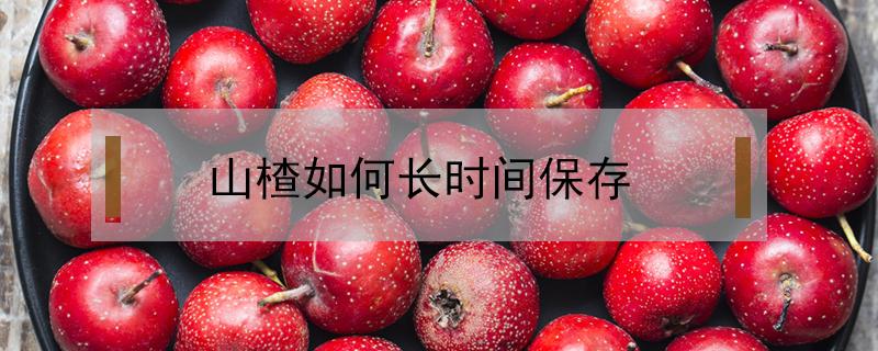 山楂如何長(zhǎng)時(shí)間保存 山楂怎么保存放的時(shí)間長(zhǎng)