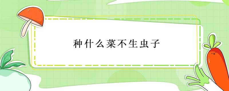 種什么菜不生蟲子 種什么菜不生蟲子不會被蟲吃